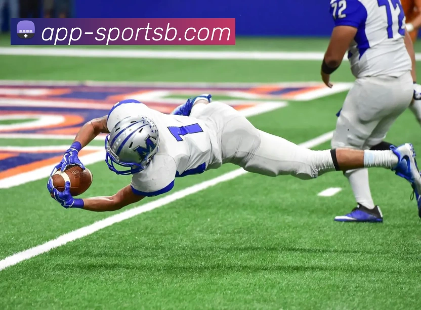 B体育平台生态图